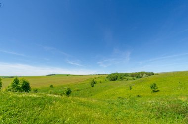 Yaz manzarası, çayır tarlaları, vadiler, çam ağaçları fındık ağacı, kır çiçekleri, dünyanın Avrupa bölgesi.