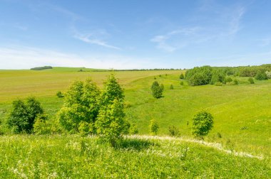 Yaz manzarası, çayır tarlaları, vadiler, çam ağaçları fındık ağacı, kır çiçekleri, dünyanın Avrupa bölgesi.