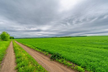 İlkbahar fotoğrafçılığı, kırsal alan, genç buğday tarlalarının arasından geçen toprak yol, bir yerden diğerine uzanan geniş bir yol, özellikle araçların kullanabileceği özel hazırlanmış bir yüzeye sahip olan bir yol.