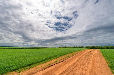 İlkbahar fotoğrafçılığı, kırsal alan, genç buğday tarlalarının arasından geçen toprak yol, bir yerden diğerine uzanan geniş bir yol, özellikle araçların kullanabileceği özel hazırlanmış bir yüzeye sahip olan bir yol.