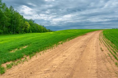 İlkbahar fotoğrafçılığı, kırsal alan, genç buğday tarlalarının arasından geçen toprak yol, bir yerden diğerine uzanan geniş bir yol, özellikle araçların kullanabileceği özel hazırlanmış bir yüzeye sahip olan bir yol.