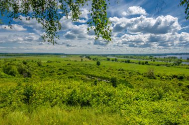 Yaz fotoğrafçılığı, su çayırları, nehir taşkın ovaları, dağdan çekilmiş fotoğraflar. Nehrin kenarında yemyeşil çimenler, çam, huş ağacı, fındık ağacı yetişir. sıcak yaz günleri