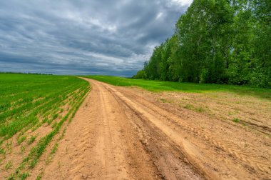 İlkbahar fotoğrafçılığı, kırsal alan, genç buğday tarlalarının arasından geçen toprak yol, bir yerden diğerine uzanan geniş bir yol, özellikle araçların kullanabileceği özel hazırlanmış bir yüzeye sahip olan bir yol.