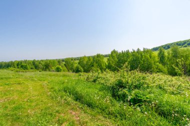 Bahar fotoğrafı, söğüt ağacı, parlak yeşillik, bulutlu mavi gökyüzü, harika bahar havası.