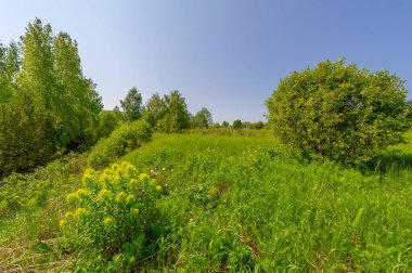 Bahar fotoğrafçılığı, çayır tarlaları, ağaçlar, tepeler ve vadiler, bulutlu bir gökyüzünde parlak güneş.