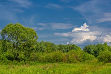 Yaz manzarası, gök gürültülü bulutlar, mavi gökyüzü, sel basmış çayır tarlaları, yaz renklerinin kokusu ve çeşitli kır çiçekleri.