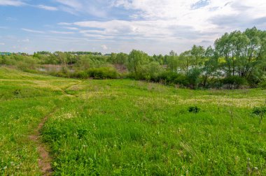 Bahar fotoğrafı, söğüt ağacı, parlak yeşillik, bulutlu mavi gökyüzü, harika bahar havası.