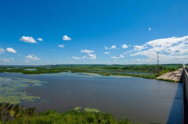 Yaz fotoğrafçılığı, sazlıklarla kaplanmış bir nehir, beyaz bulutlu mavi gökyüzü, ördek otuyla kaplanmış mavi su, nehir taşkını ovası, bunaltıcı yaz günü