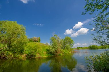 Bahar fotoğrafı, söğüt ağacı, parlak yeşillik, bulutlu mavi gökyüzü, harika bahar havası.