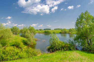 Bahar fotoğrafı, söğüt ağacı, parlak yeşillik, bulutlu mavi gökyüzü, harika bahar havası.