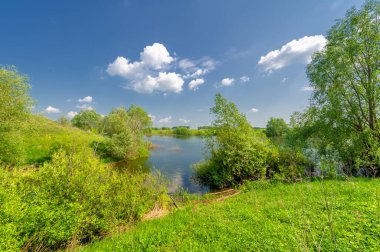 Bahar fotoğrafı, söğüt ağacı, parlak yeşillik, bulutlu mavi gökyüzü, harika bahar havası.