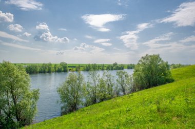 Bahar fotoğrafı, söğüt ağacı, parlak yeşillik, bulutlu mavi gökyüzü, harika bahar havası.