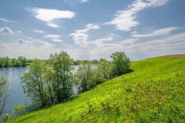 Bahar fotoğrafı, söğüt ağacı, parlak yeşillik, bulutlu mavi gökyüzü, harika bahar havası.