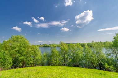Bahar fotoğrafı, söğüt ağacı, parlak yeşillik, bulutlu mavi gökyüzü, harika bahar havası.