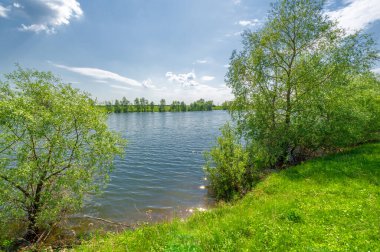 Bahar fotoğrafı, söğüt ağacı, parlak yeşillik, bulutlu mavi gökyüzü, harika bahar havası.