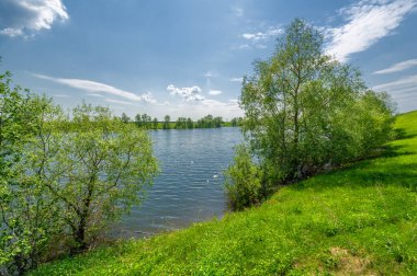 Bahar fotoğrafı, söğüt ağacı, parlak yeşillik, bulutlu mavi gökyüzü, harika bahar havası.