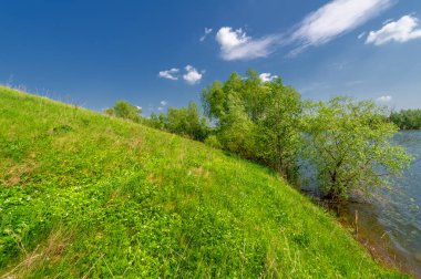 Bahar fotoğrafı, söğüt ağacı, parlak yeşillik, bulutlu mavi gökyüzü, harika bahar havası.