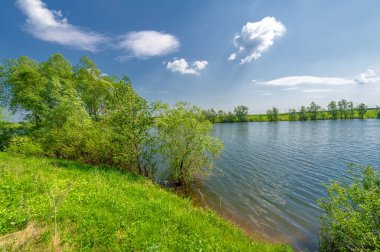 Bahar fotoğrafı, söğüt ağacı, parlak yeşillik, bulutlu mavi gökyüzü, harika bahar havası.