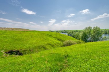 Bahar fotoğrafı, söğüt ağacı, parlak yeşillik, bulutlu mavi gökyüzü, harika bahar havası.