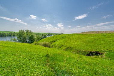 Bahar fotoğrafı, söğüt ağacı, parlak yeşillik, bulutlu mavi gökyüzü, harika bahar havası.