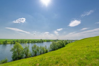 Bahar fotoğrafı, söğüt ağacı, parlak yeşillik, bulutlu mavi gökyüzü, harika bahar havası.