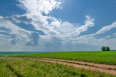 Bahar fotoğrafçılığı, buğday tarlalarındaki toprak yol. Hareket ve iletişim için tasarlanmış şerit