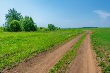Bahar fotoğrafçılığı, buğday tarlalarındaki toprak yol. Hareket ve iletişim için tasarlanmış şerit