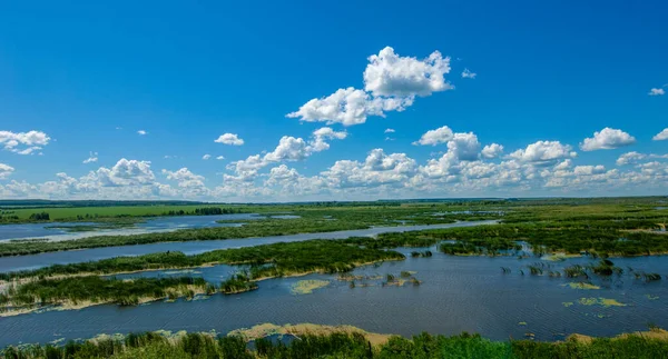 summer photography, a river overgrown with reeds, blue sky with white clouds, blue water covered with duckweed, river floodplain, sultry summer day