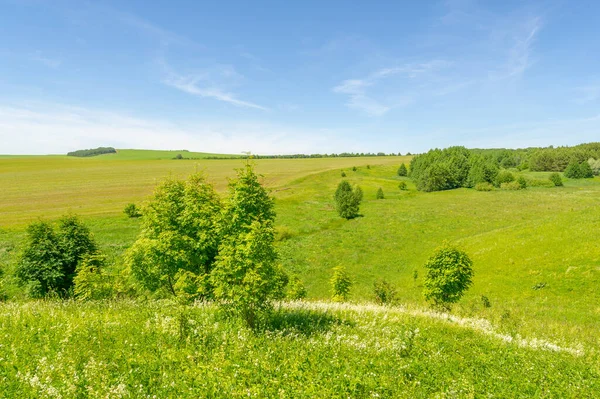 Yaz manzarası, çayır tarlaları, vadiler, çam ağaçları fındık ağacı, kır çiçekleri, dünyanın Avrupa bölgesi.