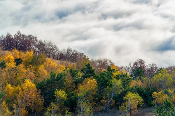 Fotos Outono Península Crimeia Alto Nas Montanhas Acima Das Nuvens — Fotografia de Stock
