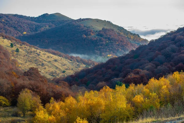 Herfst Foto Van Krim Schiereiland Hoog Bergen Boven Wolken Beuk — Stockfoto