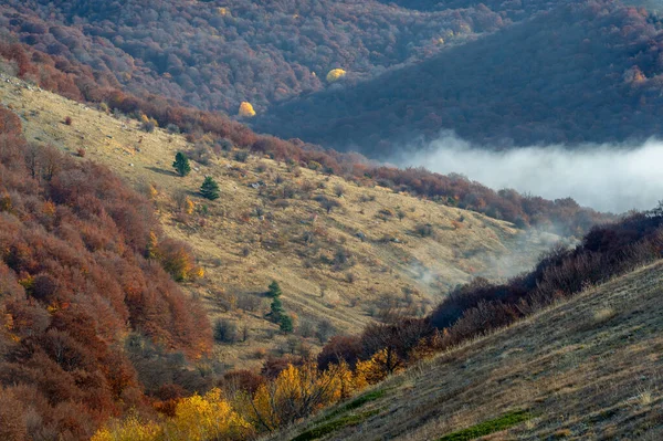 Herfst Foto Van Krim Schiereiland Hoog Bergen Boven Wolken Beuk — Stockfoto