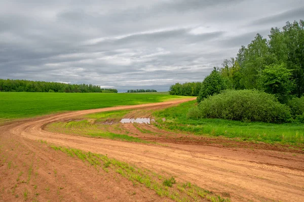 Spring Photography Rural Landscape Dirt Road Young Wheat Fields Wide — Stock Photo, Image