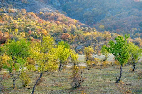 Foto Autunno Della Penisola Crimea Nebbia Del Monte Demerdzhi Evaporazione — Foto Stock