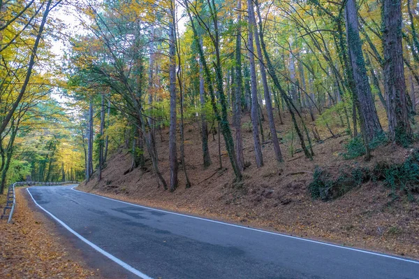 Hösten Bilder Krimhalvön Gamla Motorvägen Charmen Stämningen Den Gamla Vägen — Stockfoto