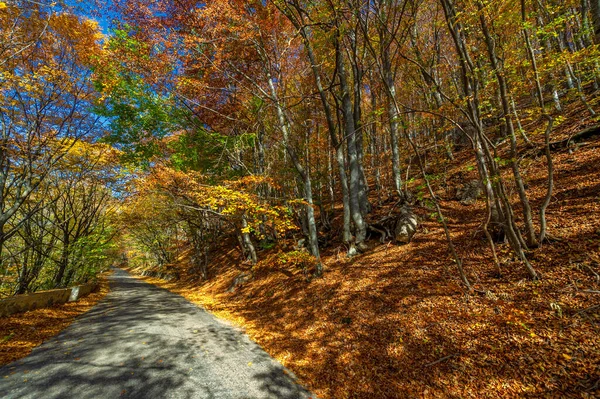 Otoño Fotos Península Crimea Vieja Carretera Encanto Del Estado Ánimo —  Fotos de Stock