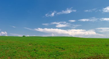  Bahar fotoğrafçılığı, güneşte yetişen taze yeşil buğday, ılıman ülkelerde yetişen en en önemli bitkidir, buğday, ekmek yapmak için toprak, vs. 