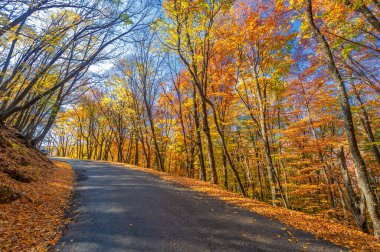Kırım Yarımadası 'nın sonbahar fotoğrafları, Eski Otoyol, Eski Yol' un cazibesi,