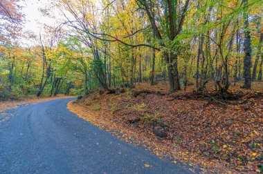 Kırım Yarımadası 'nın sonbahar fotoğrafları, Eski Otoyol, Eski Yol' un cazibesi,