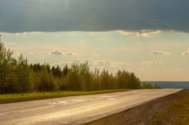 Yaz manzarası, yerel yol, yol, yol, yol, yol, sürüş, sürüş