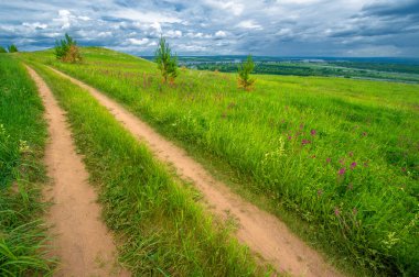 Yaz manzarası, büyük bir nehir, nehrin kıyısında çayır çiçekleri, gökyüzünde güçlü bulutlar, Kama Nehri boyunca bir turist yürüyüşü.