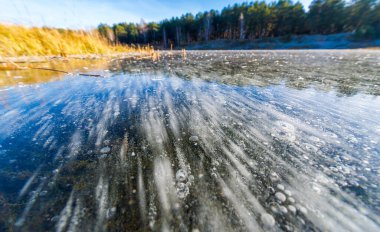 Sokakta buz var, nehirde buz var, buz kabarcıkları buzda sıkışmış, alışılmadık renkte buz mimarisi