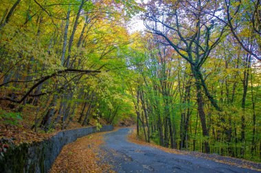 Kırım Yarımadası 'nın sonbahar fotoğrafları, Eski Otoyol, Eski Yol' un cazibesi,