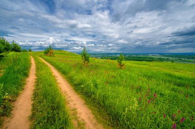 Yaz manzarası, büyük bir nehir, nehrin kıyısında çayır çiçekleri, gökyüzünde güçlü bulutlar, Kama Nehri boyunca bir turist yürüyüşü.