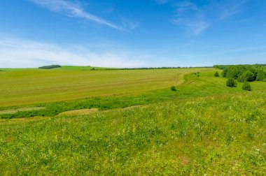 Yaz manzarası, biçilmiş tarlalar biçilmiş tarlalar, biçilmiş yoncalar.