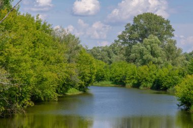 Yaz manzarası, gök gürültülü bulutlar, mavi gökyüzü, sel basmış çayır tarlaları, yaz renklerinin kokusu ve çeşitli kır çiçekleri.