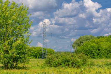Yaz manzarası, gök gürültülü bulutlar, mavi gökyüzü, sel basmış çayır tarlaları, yaz renklerinin kokusu ve çeşitli kır çiçekleri.