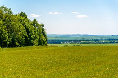 Yaz manzarası, biçilmiş tarlalar biçilmiş tarlalar, biçilmiş yoncalar.