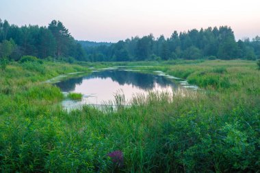 Sabah fotoğrafı bataklık, bulutlu bir gökyüzü, açık deniz, ön planda kırmızı çiçek, hafif sis.