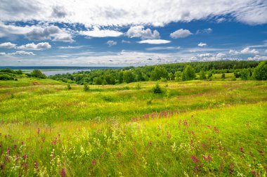 Yaz manzarası, büyük bir nehir, nehrin kıyısında çayır çiçekleri, gökyüzünde güçlü bulutlar, Kama Nehri boyunca bir turist yürüyüşü.